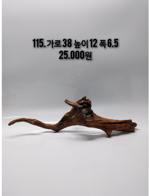 맹그로브 유목 (파충류 놀이터 은신처 선텐실 쉼터 테라리움 비바리움 수초활착 솟대 횃대), 1개