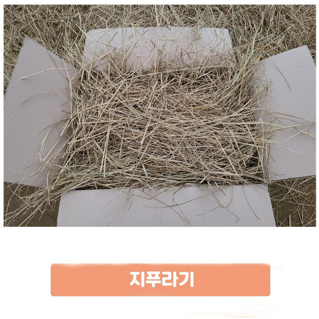 지푸라기약2kg 볏짚 월동자재 캠핑 반려동물, 1박스