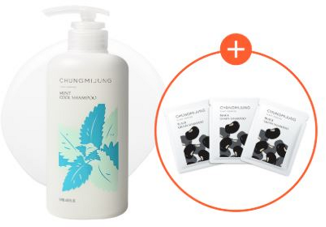 (청미정) 박하 쿨 샴푸 기획 (+흑곡샴푸 21ml증정), 500ml, 1개