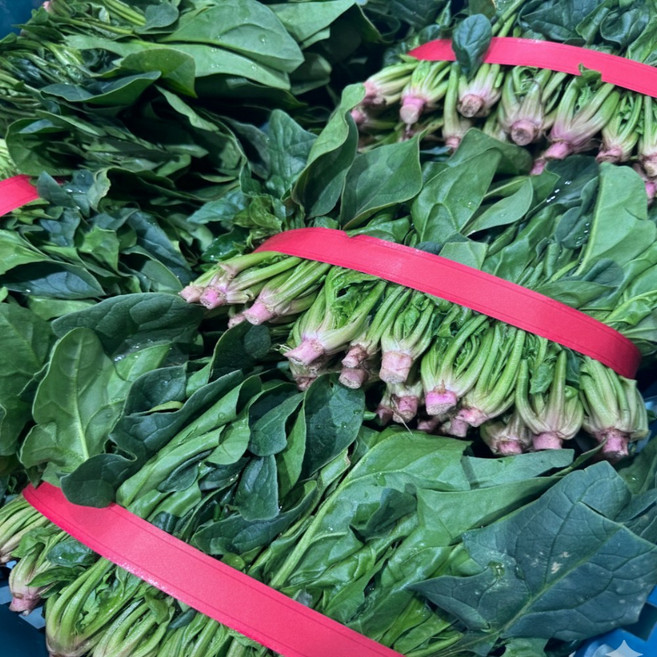 새벽경매 산지직송 대용량 남해 시금치, 1개, 3kg