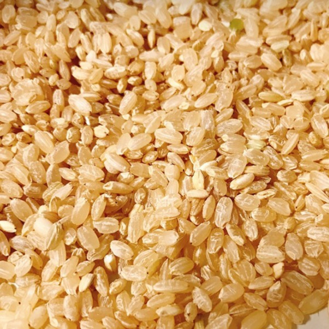 코스트코 국산 불리지않는 부드러운 불릴필요없는 해들원 칼집 현미 4kgx3, 3개