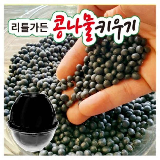 콩나물 재배기 키트, 9개