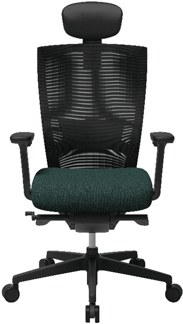 SIDIZ T50 人體工學椅 辦公電腦椅, 黑框墨綠