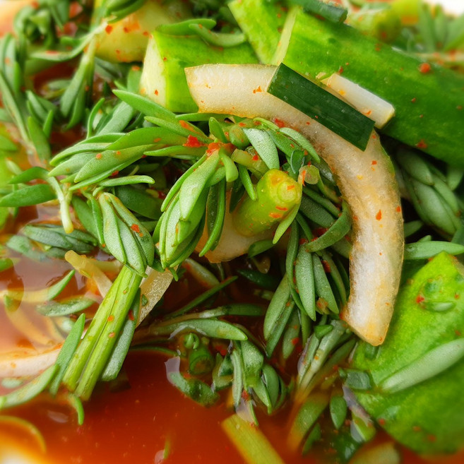 맛깔나는세상 100% 국내산 맛있는 돗나물(돌나물)물김치, 1.5kg, 1개