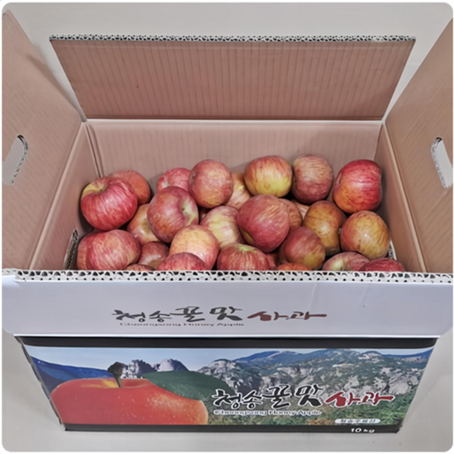 [산지직송] 청송사과 10kg 알뜰사과 부사 고당도 햇사과, 01.알뜰흠집 10kg 소과 (45과~65과내외), 1박스