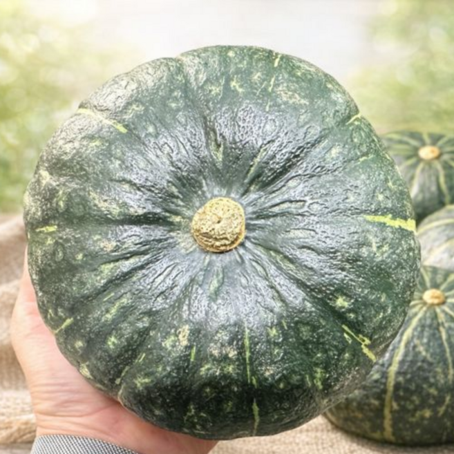 정품 특품 뉴질랜드 단호박, 1박스, 2kg (2개 내외)