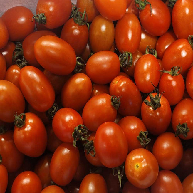 달달과수원 맛있는 대추 방울 토마토, 4개, 3kg (750gX4팩)