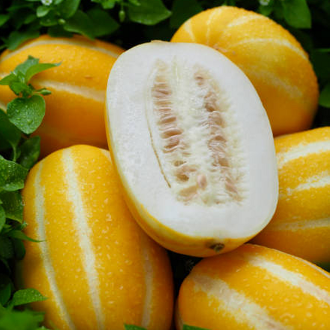 [특상품] 고당도 후회없는 산지직송 성주 참외, 1개, 특품 소과 1kg