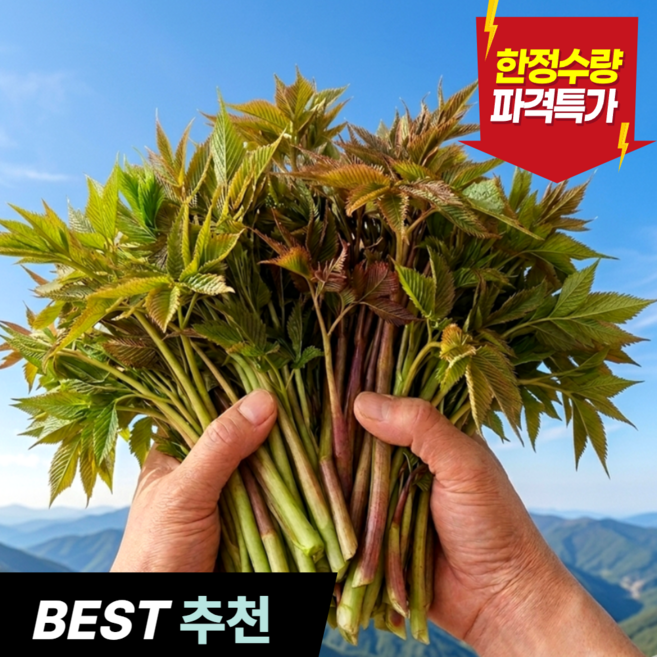 [산지직송] 26년첫수확 강원도 눈개승마 삼나물, 1kg, 1개