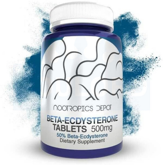 비건 베타 엑디스테론 식물성 스테로이드 500mg 30정 유로드, 1개