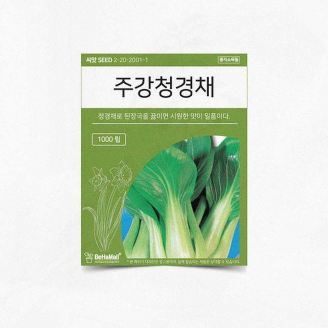 주말농장 홈파밍 가드닝 텃밭 파종 모종 발아 청경채종자 1p