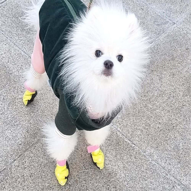 숨쉬는 모모 슈즈(혼합/48매), 단일, 1개