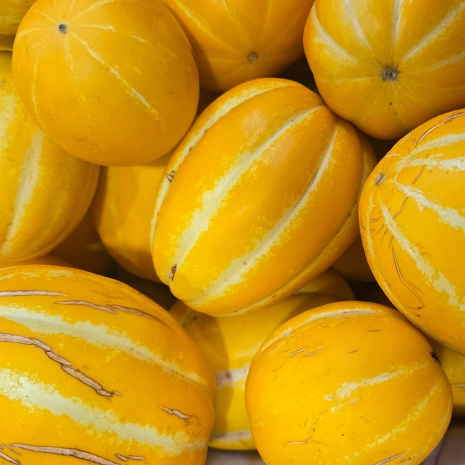 산지직송 성주참외 꿀참외 당도선별, 1개, 가정용  참외 10kg 대과