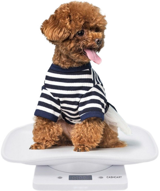 캐쉬카트 반려동물 체중계 펫저울, 화이트, 1개, JM-K13