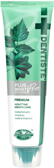 덴티스테 플러스 화이트 치약, 100g, 1개