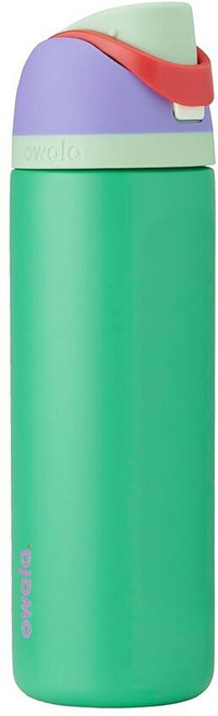 Owala 해리 포터 FreeSip 단열 스테인리스 스틸 물병 빨대 포함 BPA 프리 스포츠 여행에 적합 709.8ml(24온스) 후플푸프143926, Disney Princess, Ariel