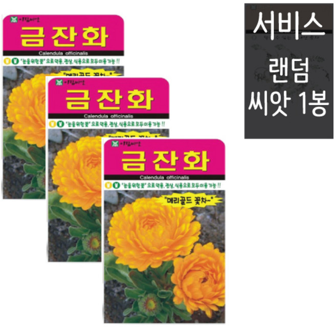 금잔화씨앗 70립 ( 3봉 + 랜덤씨앗1봉 ) 꽃씨앗 메리골드 약용 식용 관상, 1개