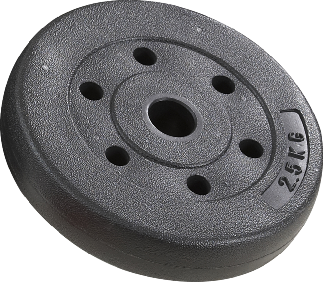 렉스파 덤밸 블랙 원판 2.5kg, 300개