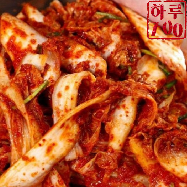 갓- 담근 하루700 프리미엄 전라도 겉절이김치 [100% 우리 땅 재료], 1개, 3kg