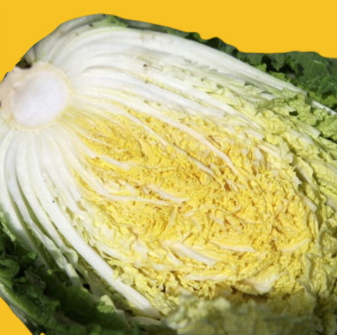 해썹 명품 절임배추 강원도 고랭지 고냉지 영월 평창 대관령 농협 절인배추 김장 세트 전통식품명인 국산 김장양념 (절임배추20kg기준), 8kg, 1박스, 2-3일내 배송