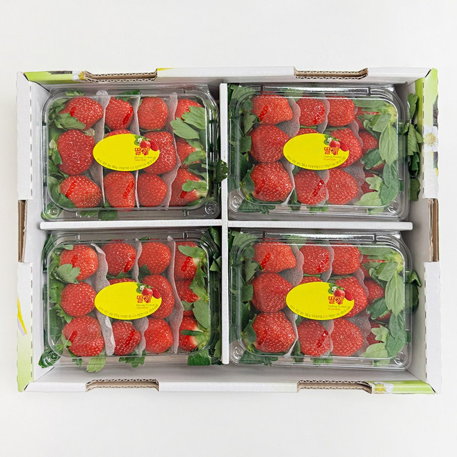 설향 홍희 고당도 제철 딸기, 1개, 2kg (특)