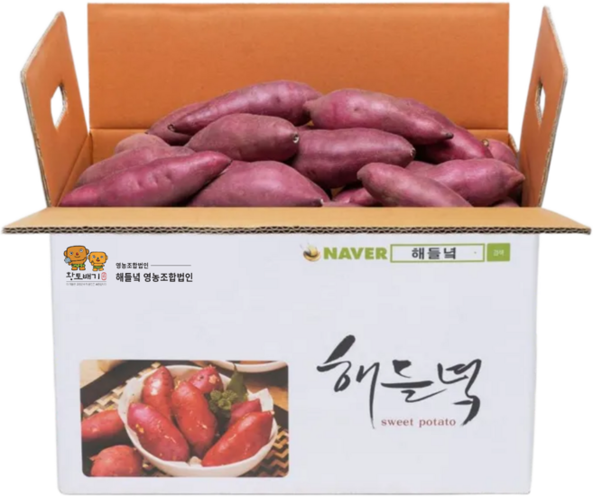 [25년 고구마] 산지직송 해들녘 무농약 고창 세척 꿀 고구마 3kg 5kg 10kg (한입/중/특상/왕), 해들녘고구마 5kg (중 사이즈), 1개