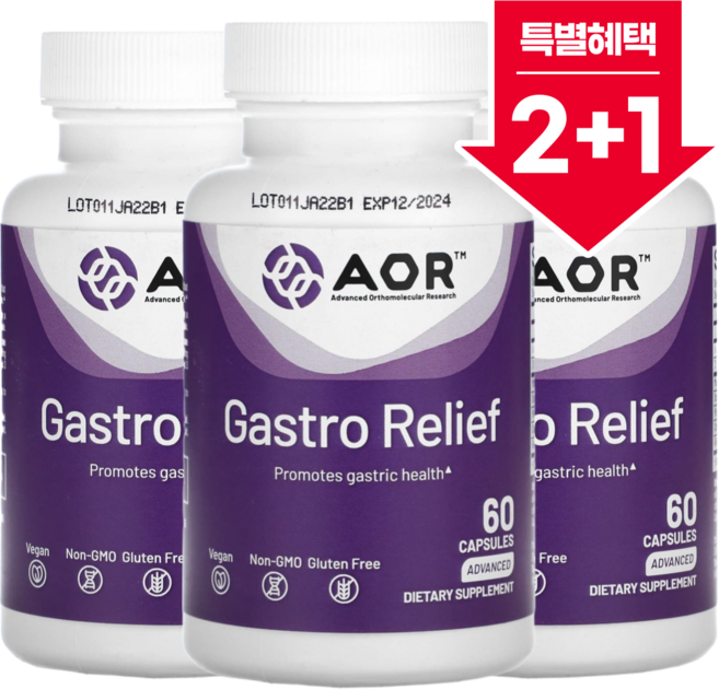 [2+1] AOR 매스틱검 알긴산 아연 카르노신 생강 Gastro Relief 60 캡슐 약들약 고약사 / 해외직구 미국정품, 3개, 60정