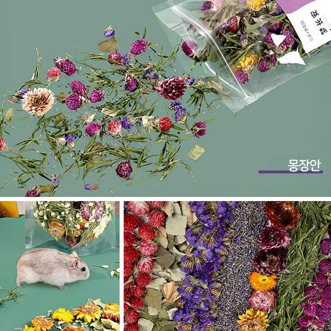 타핏 드림 가든 플라워 베딩 -몽장안 (B51), 1개, 100g