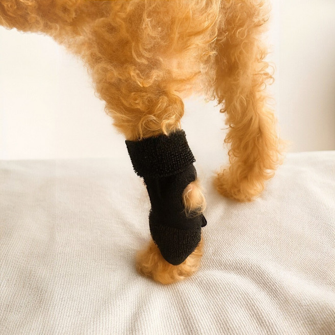 하루잡화 착용이 간편한 강아지 슬개골 보호대 S, 2개, 30g