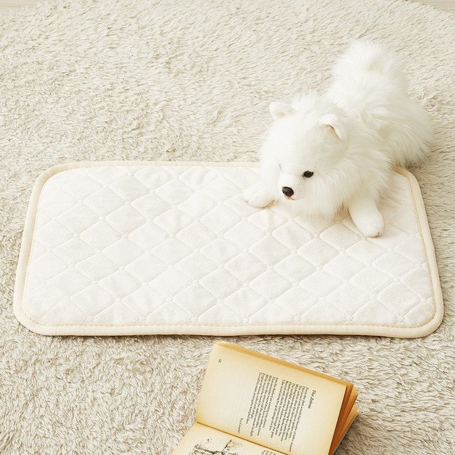 [26년형 두께UP] 한일좋은자리 전자파없는 프리미엄 양면극세사 강아지 고양이 탄소 전기 온열 방석, 중형(40X60cm), 아이보리