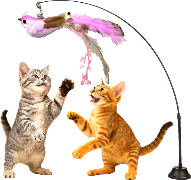 스마일플로우 진짜같은 전설새 낚시대 풀세트 고양이 최애 튼튼 고정 장난감, 1세트, 벚꽃 새