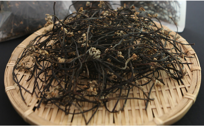 건고사리 지리산 해발600m 국내산 고사리, 1개