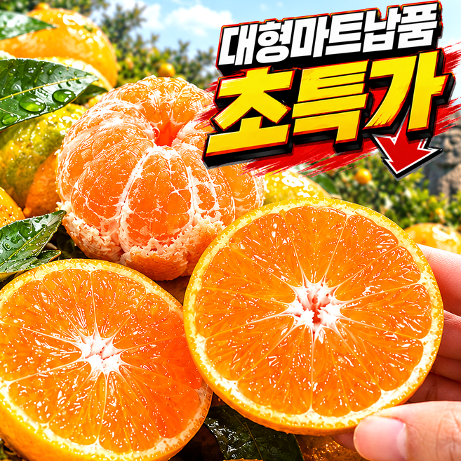 [50박스한정초특가]최대15브릭스 고당도 귤 제주 감귤, 1박스, 5kg (인기추천)