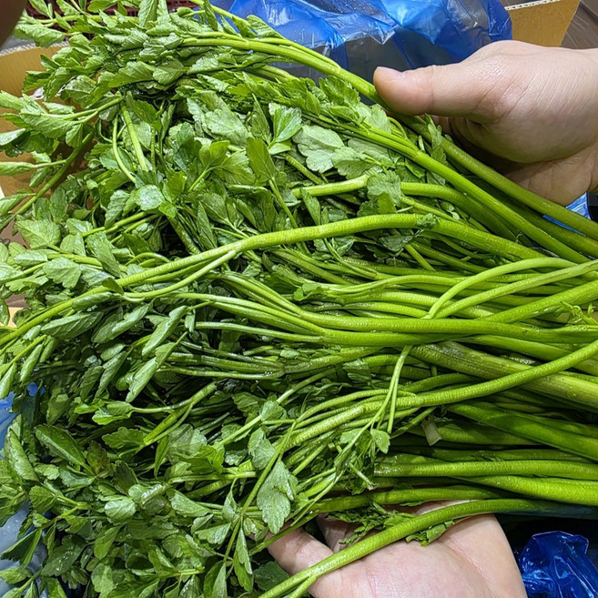 통째로팜 국내산 미나리 돌미나리 4kg 박스, 1박스