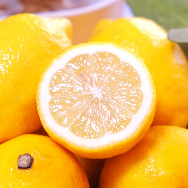 [만족도1위] 국산 제주 레몬, 1박스, 2kg