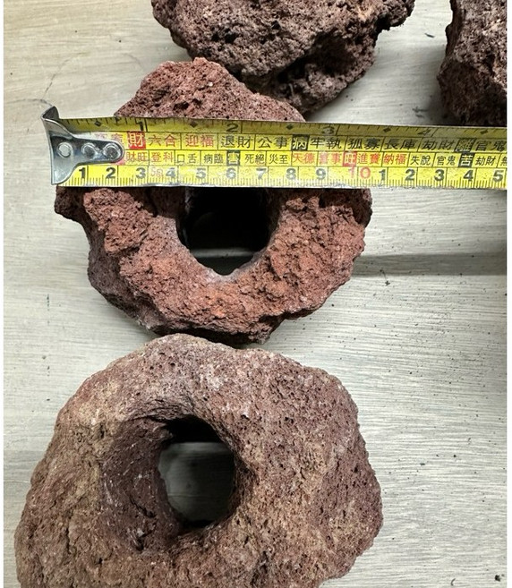 打洞火山岩 魚缸專用硝化菌石 水晶蝦缸造景培菌石 大顆多孔穩定水質, 1個