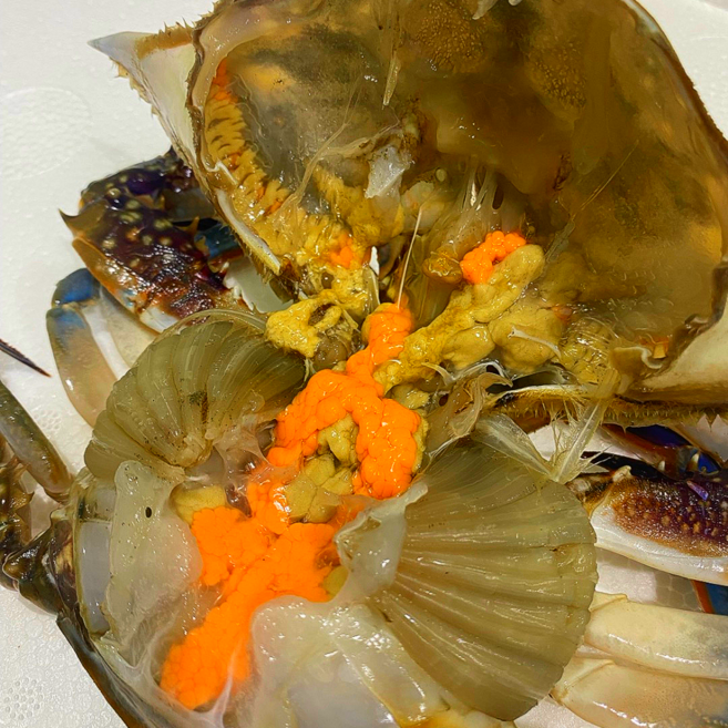 2026년 봄 3차 선별 제철 활 생물 암꽃게 활꽃게, 1박스, 1kg (3-5미)