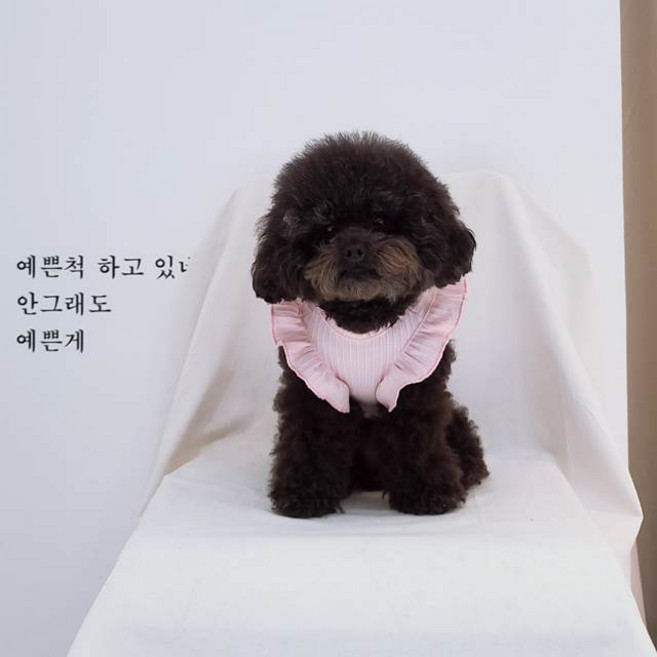 블 소녀감성, 핑크, 1개