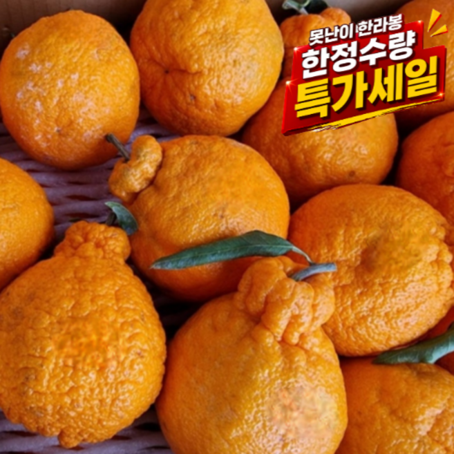 [긴급민생지원 초특가할인] 제주노지과즙왕 못난이한라봉 극가성비강력추천, 1박스, 10kg