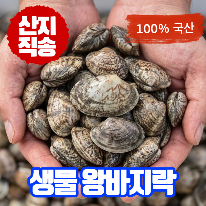 어부의뜰 국산 남해 바지락 생물 해감 왕바지락 조개 손질 국내산 바지락살, 1개, 1kg