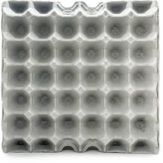 귀뚜라미 관리 계란판, 1개