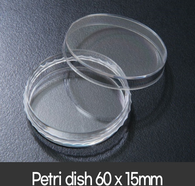 페트리디쉬 60x15mm (20개/pk) 10060 미생물 배양 Petri dish SPL