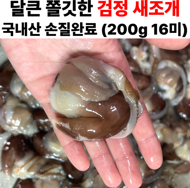 특품 손질 새조개 당일조업 검정 새조개 샤브샤브, 1세트, 1kg ( 80미 내외)