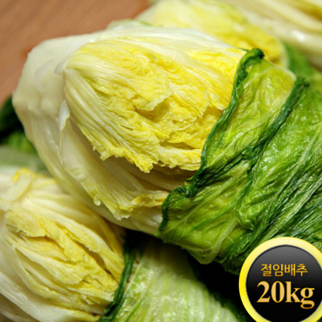 2월예약/ 속노란 괴산 절임배추20kg, 20kg, 1박스, 희망도착일 배송도착일 기재바랍니다