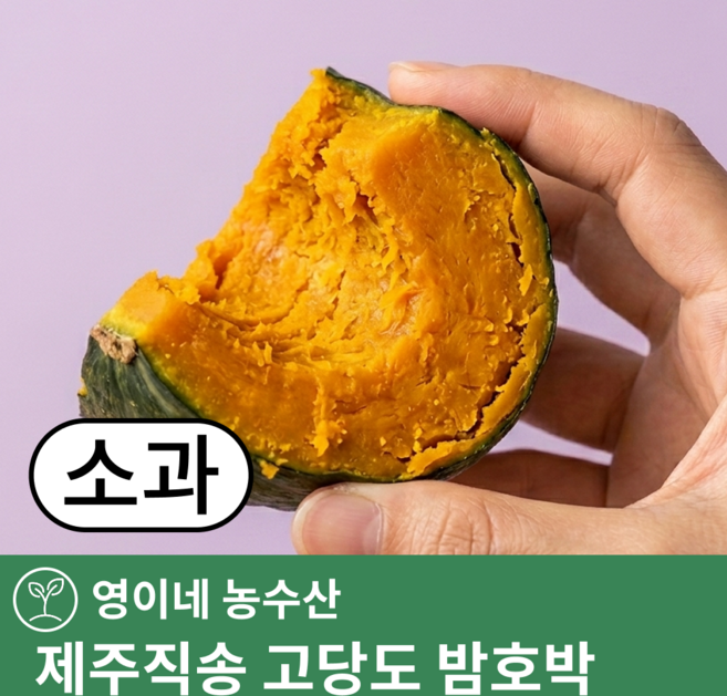 [초특가할인] 제주 미니 밤호박 보우짱, 1박스, 2kg (소과)