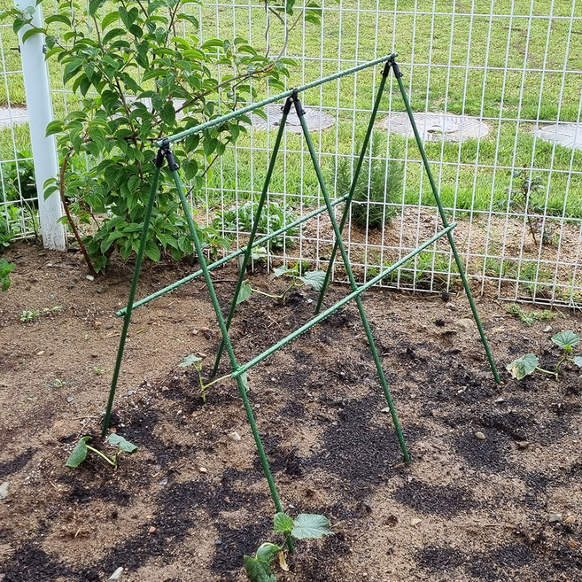 텃밭 지지대 식물지지대 오이 토마토 넝쿨 화분 화초 지주대, 11mm, L90cm x H90cm, 1개