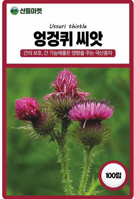 산들마켓 엉겅퀴 씨앗 100립 간 기능에 좋은 영향을 주는 국화과 재래종 약초 국산 종자, 4개