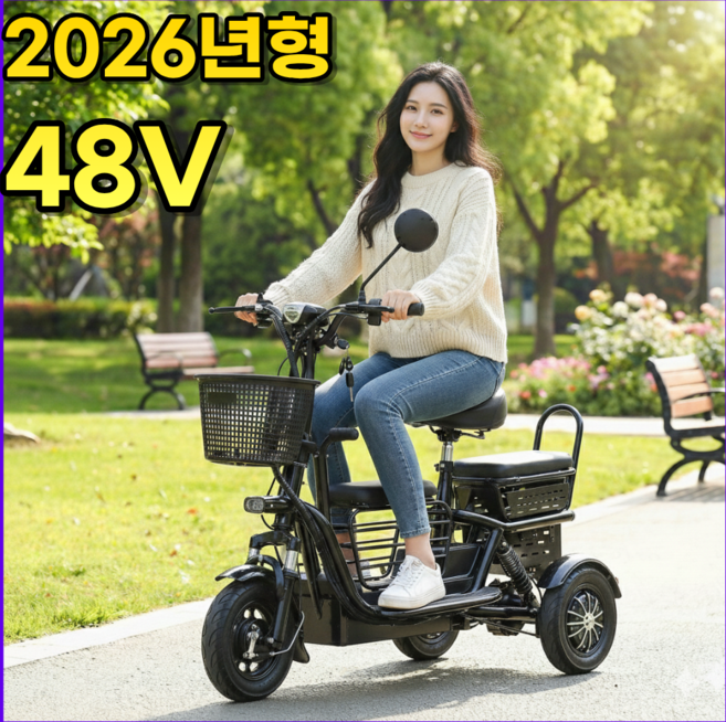 타보니 세발전기자전거 오토바이 스쿠터 2인승 3인승 여성용 성인용 노인용, 블랙, 경량스틸