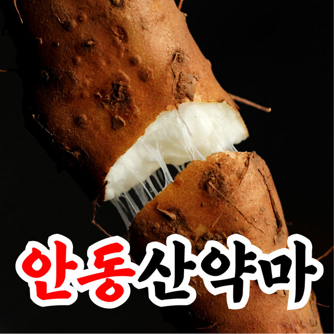 [윤제원참마] 재구매율1위 입단심토재배 산마 안동마, 1개, 5kg