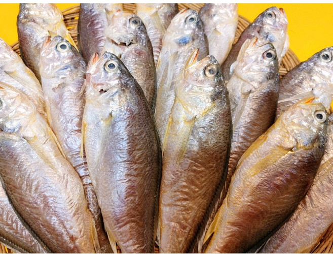 서천 이모네 반건조 황금 참조기 20미, 참조기 23cm 내외 10미, 1개